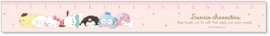 18 cm ruler Sanrio Characters | pink