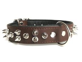 Halsband hond "SPOILED SPIKES" Bruin | 55cm