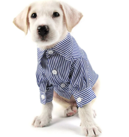 Honden overhemd blauw gestreept | XS, S, M