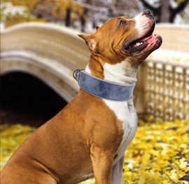 Leren honden halsband  | 65cm
