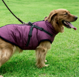 FASHION SPORTS 2-in 1 honden bodywarmer met harnas | Paars | S,M,L,XL,XXL,4XL
