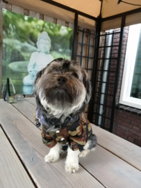 Honden regenjas camouflage DROOLINGDOG | S,M