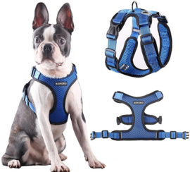 BORORO Honden harnas | blauw | S