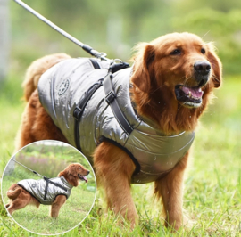 FASHION SPORTS 2-in 1 honden bodywarmer met harnas | zilvergrijs |L, XXL
