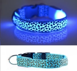 Halsband met verlichting / LED verlichting | blauw | XS