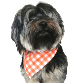 Oranje honden bandana