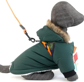 DRESSPET Stoere hondenjas / winterjas hond | groen | S, XL