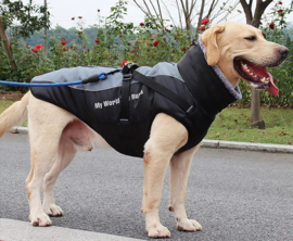 Regenjas voor grote hond | zwart/antraciet | 4XL,