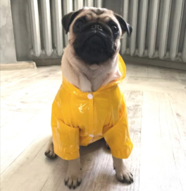 Regenjas hond geel |XL