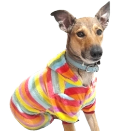 Honden Pyjama / Onesie fleece | S