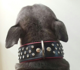 BENIBACHI Venice leren honden halsband met kristal | 65cm