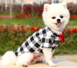 Overhemd hond geruit | zwart/grijs/wit | XS,S,M,L,XL,XXL,3XL,4XL