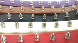 A01 - Honden halsband met spikes | 37 - 46cm