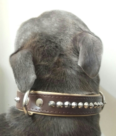 ELEGANCE leren halsband met studs