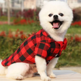 Overhemd hond geruit | Rood | S,M,L,XL,XXL