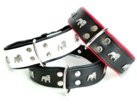 Leren halsband voor Engelse Bulldog