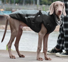 Regenjas voor grote hond | zwart/antraciet | 4XL,