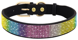 Hondenhalsband Rainbow met strass | S