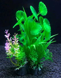 Kunstplant Aquarium groen met roze