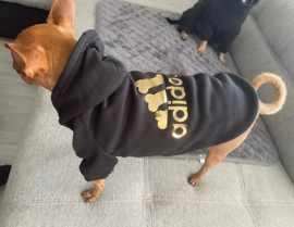 Hondentrui "Adidog" Zwart goud | S,M,L,XL,XXL