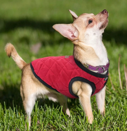 PETBABY honden bodywarmer rood| XL