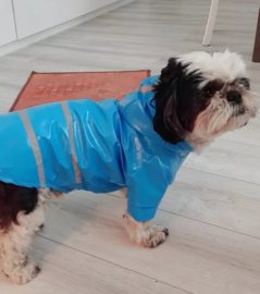 Regenjas hond blauw |S,M,L