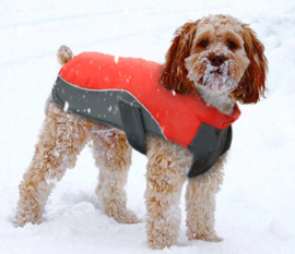 regenjas  hond / winterjas | Rood / grijs | L, XXL,3XL