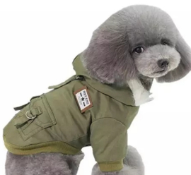 Hondenjas "Adventure Dog" groen |S, L