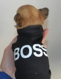 Hondenshirt BOSS | Zwart |  M