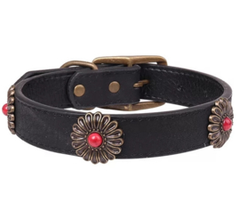 Leren honden halsband zwart