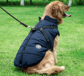 FASHION SPORTS 2-in 1 honden bodywarmer met harnas | navy | S,M,L,4XL