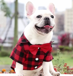 Overhemd hond geruit | Rood | S,M,L,XL,XXL