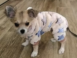 Honden Pyjama / Onesie |S, L, XL,XXL