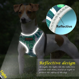 Honden harnas GREEN LEAF | S, M,L