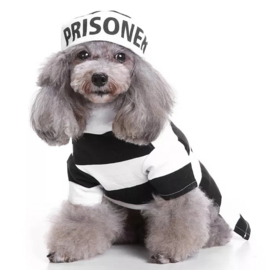 Honden kostuum PRISONER | S, M