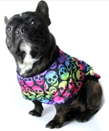 Hondentrui fluor skull | XXS, XS, S