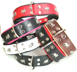 Leren halsband voor Engelse Bulldog