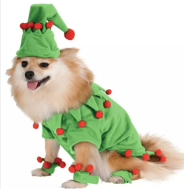 Honden kostuum Elf | S