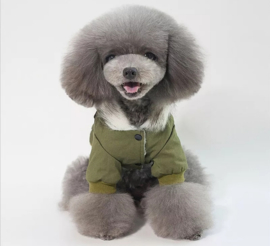 Hondenjas "Adventure Dog" groen |S, L