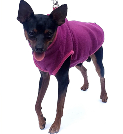 BUBBLES Hondentrui fleece | paars/roze | ,XL