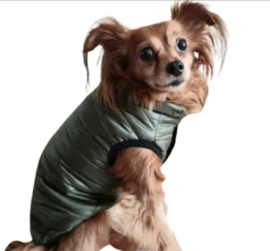Honden bodywarmer olijfgroen | XS,L,XL,XXL