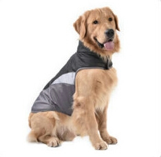 Waterproof outdoor hondenjas / regenjas | Zwart |  XL