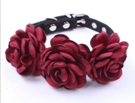 Honden halsband met bloemen "AVALANCHE" | 33cm