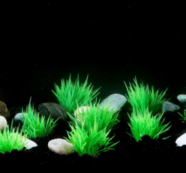 Kunstgras Aquarium