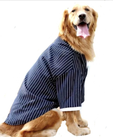 Honden kostuum / trouwkostuum grote hond | XXL, 5XL