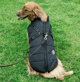 FASHION SPORTS 2-in 1 honden bodywarmer met harnas | zwart | S,L,4XL