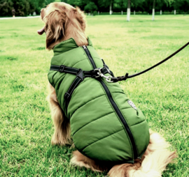 FASHION SPORTS 2-in 1 honden bodywarmer met harnas | groen |S,M,L, XL, XXL, 3XL, 4XL