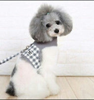 HOOPET pets life hondentuigje met lijn  | M
