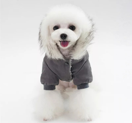 Zending Pionier Rustiek Hondenjas "Adventure Dog" grijs | S,M,L | Hondenjassen | Exclusive Dog  Fashion - Hondenboetiek