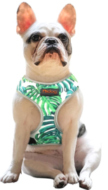 Honden harnas GREEN LEAF | S, M,L